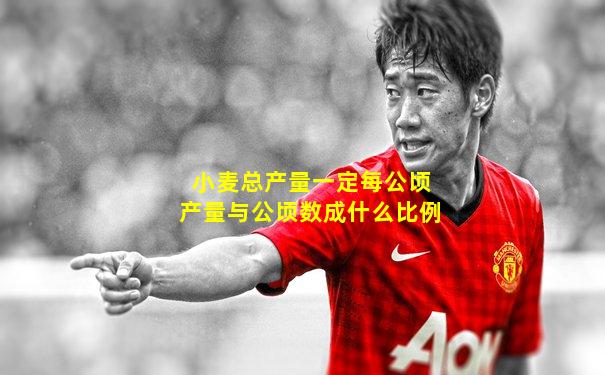 小麦总产量一定每公顷产量与公顷数成什么比例