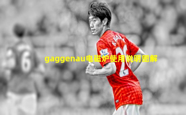 gaggenau电磁炉使用说明图解
