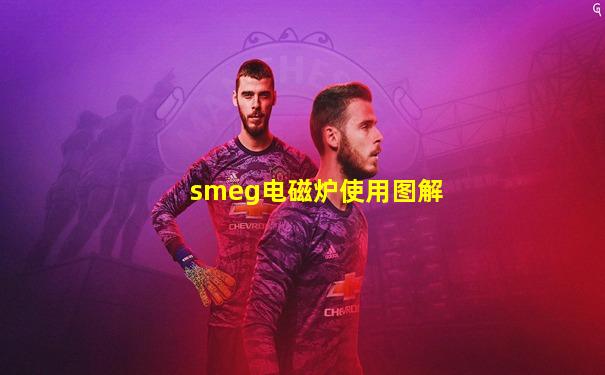 smeg电磁炉使用图解