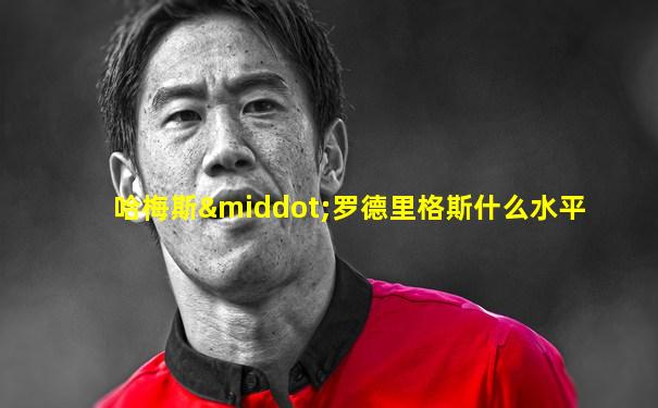 哈梅斯·罗德里格斯什么水平