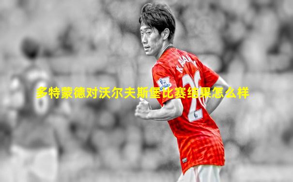 多特蒙德对沃尔夫斯堡比赛结果怎么样