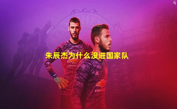 朱辰杰为什么没进国家队