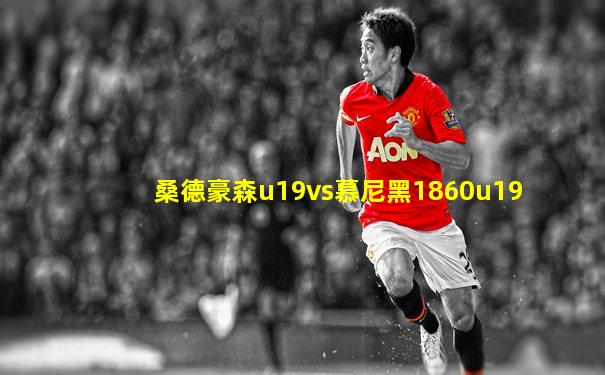 桑德豪森u19vs慕尼黑1860u19