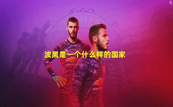 波黑是一个什么样的国家