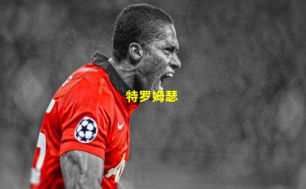 特罗姆瑟