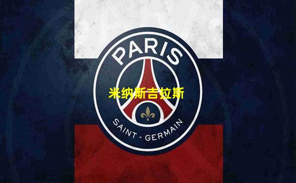 米纳斯吉拉斯