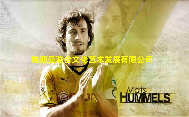 维斯曼联合文化艺术发展有限公司