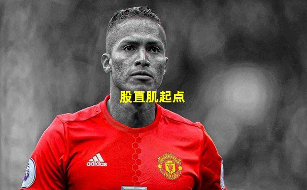 股直肌起点