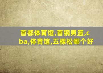 首都体育馆,首钢男篮,cba,体育馆,五棵松哪个好